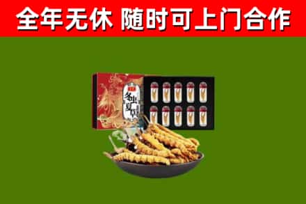 天涯区回收冬虫夏草价格